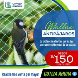Malla Antipájaros Protección Eficiente para Cultivos y Espacios Abiertos