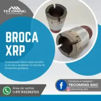 BROCA XRP 