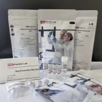 MaxExtraction Bacteria Genomic DNA Kit T