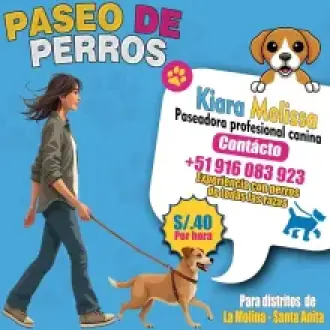 . PASEADORA DE PERROS .