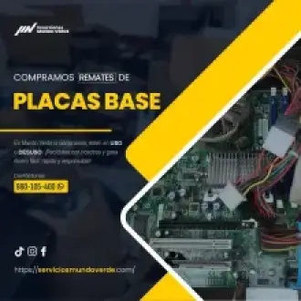  Equipo muerto Nosotros lo revivimos en dinero 