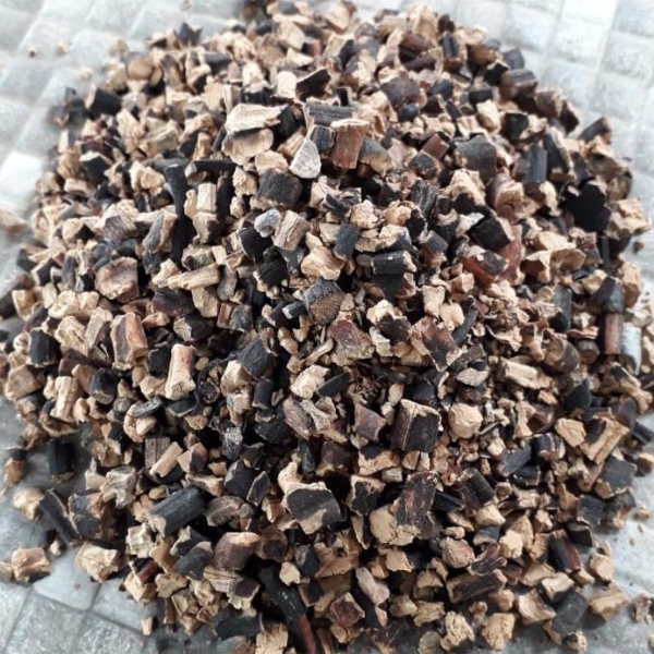  lessonia trabeculata Brown chopped from peru