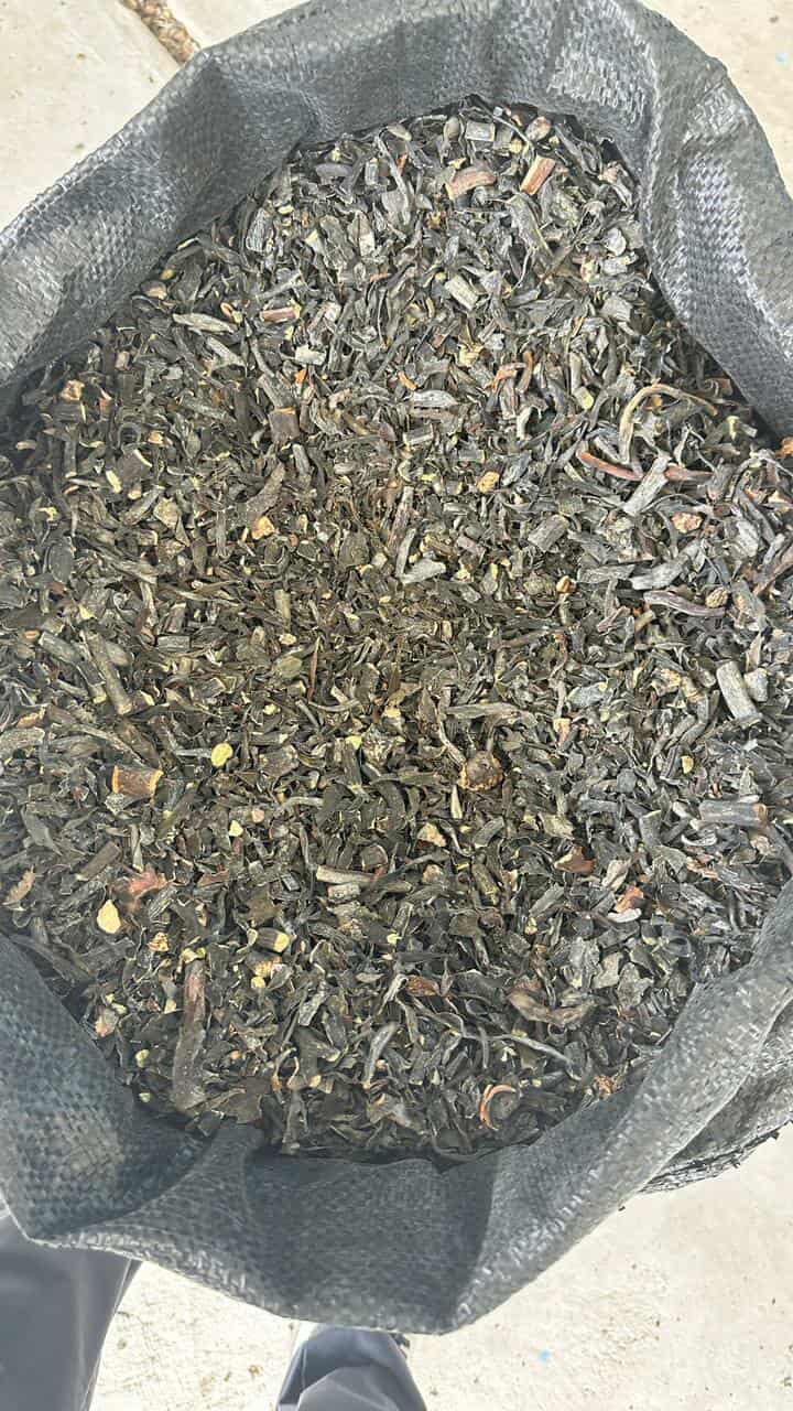  lessonia nigrescens chopped brown from peru