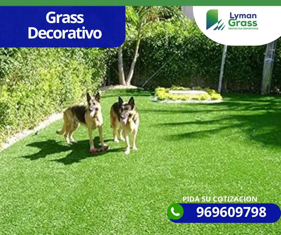 Grass decorativo lyman