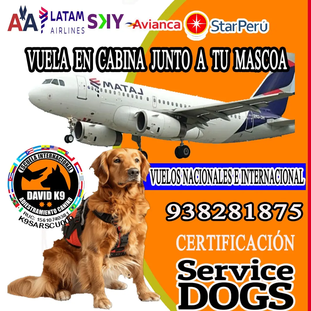 Certificación Perro De Servicio