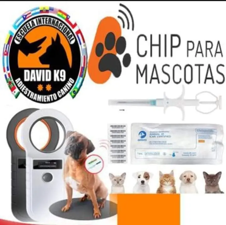 Certificación Perro De Servicio