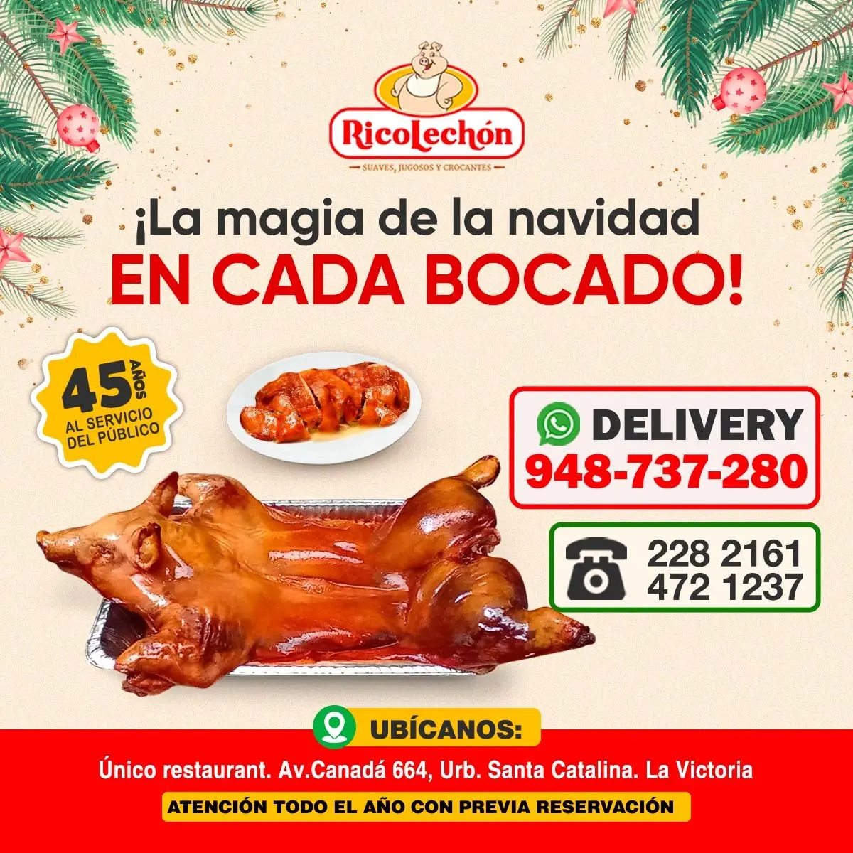 La Magia de la Navidad en Cada Babylechon