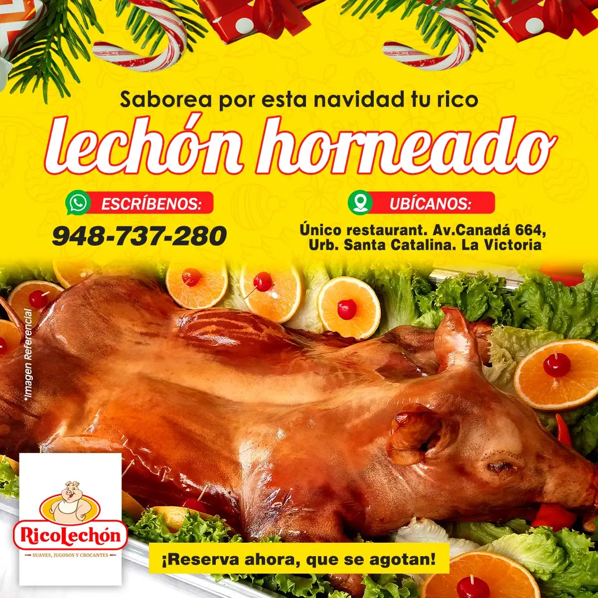 Lechón Tierno para tus Fiestas Navideñas 2024