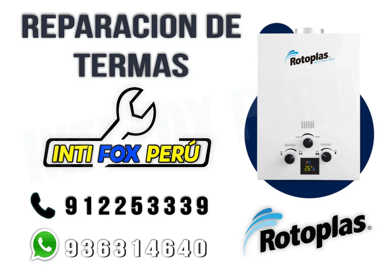 Reparamos tu terma en tiempo récord y con garantía tecnico a domicilio en vitarte 