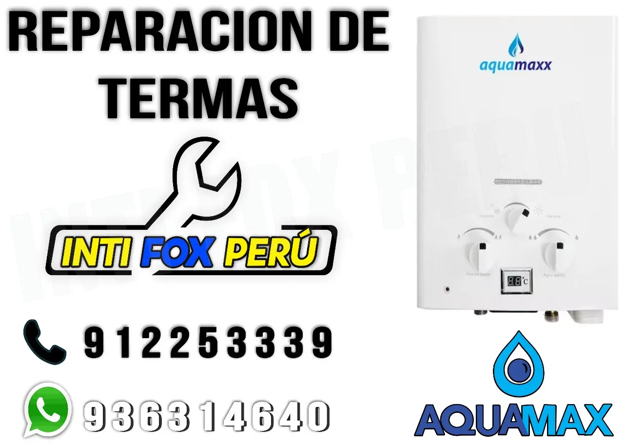 Expertos en reparar termas tecnico a domicilio en carabayllo 