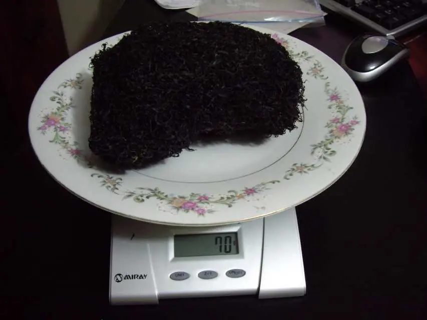 Seaweed Gigartina chamissoi yuyochicorea de mar from peru