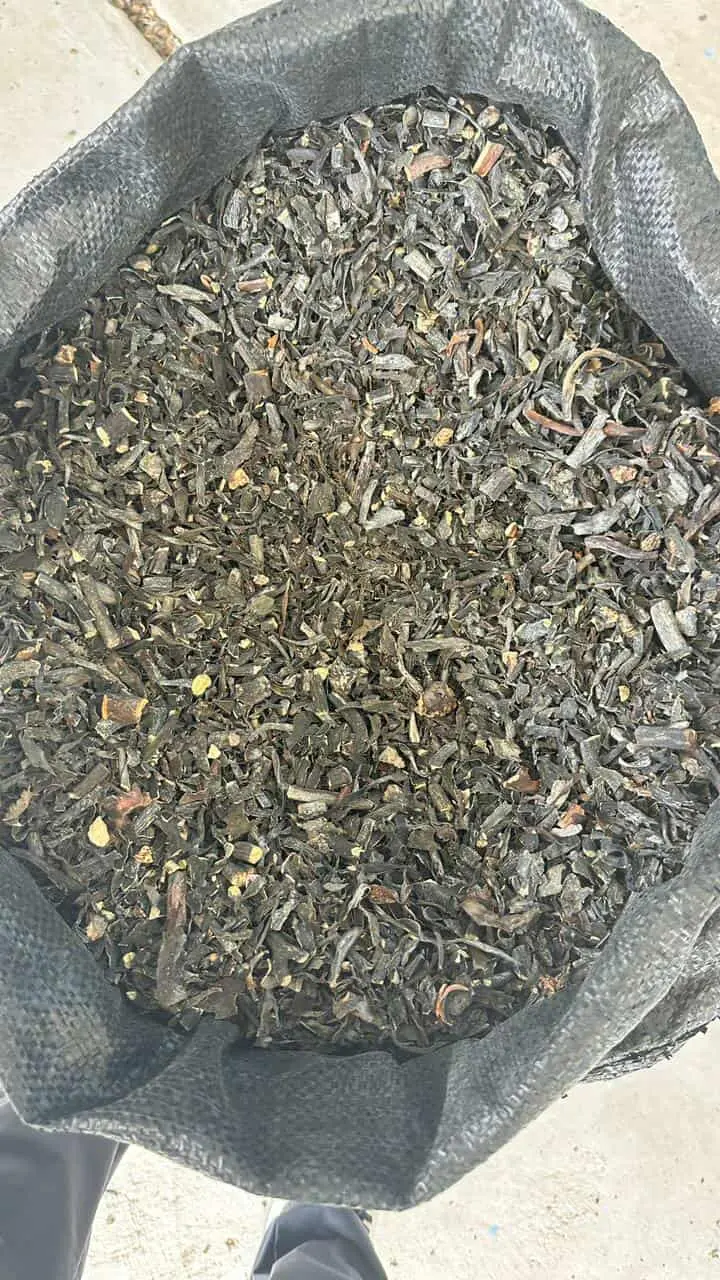 seaweed peruvian export- algas marinas peruvian export