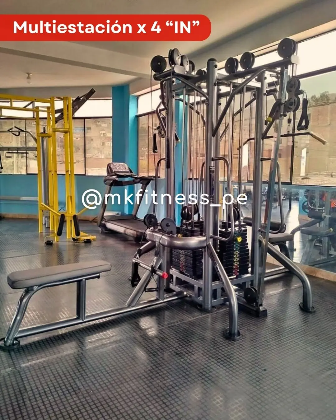  Equipos de gimnasio profesionales - Fabricación nacional