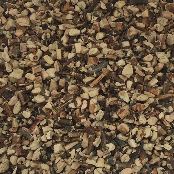  lessonia trabeculata Brown chopped from peru