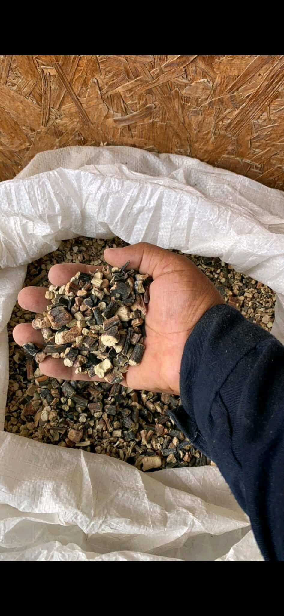 Algas marinas peruvian export- seaweed peru export