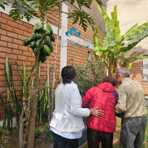  Manantial de Vida Casas de Reposo.