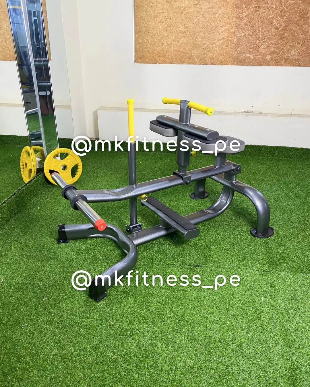  Equipos de gimnasio profesionales - Fabricación nacional