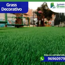 Grass decorativo para su casa