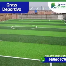 Lyman Grass le ofrece Grass deportivo