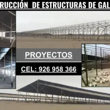 ESTRUCTURAS DE GALPONES 