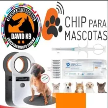 Certificación Perro De Servicio