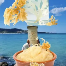 wilfcrafted irish moss chondrus crispus from peru