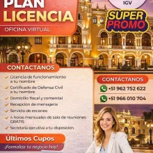 PLAN LICENCIA OFICINA VIRTUAL